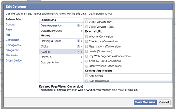 Facebook Ad Reports Conversion Types