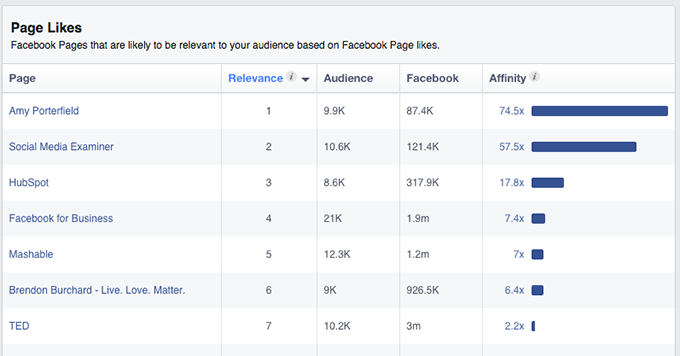 Facebook Audience Insights Page LIkes