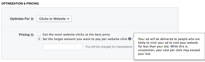 Facebook Power Editor New Ad Set Optimization Pricing Optimize Clicks to Website