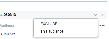 Facebook Power Editor New Ad Set Audience Edit Exclude