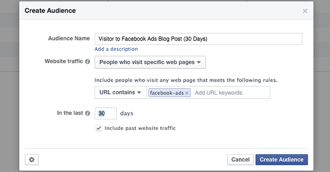 Facebook Website Custom Audience Category