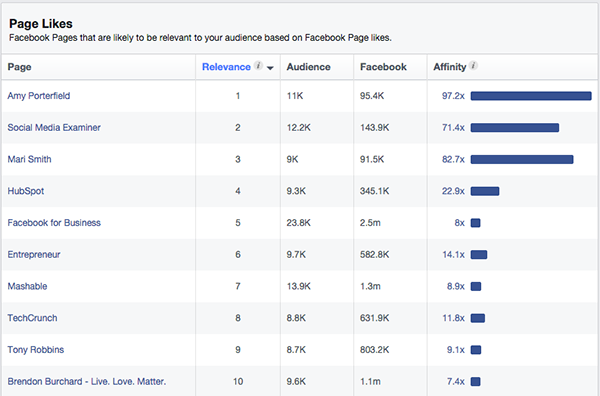 Audience Insights Page Likes