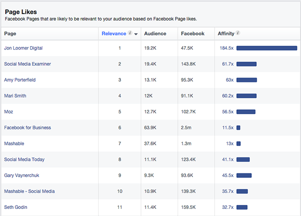 Audience Insights Page Likes