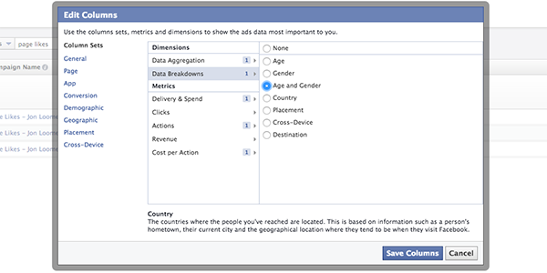 Facebook Ad Reports Age and Gender