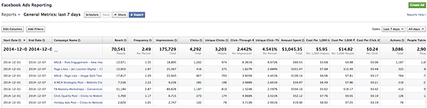 Facebook Ad Reports Default