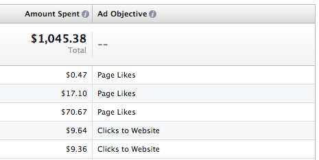 Facebook Ad Reports Objective