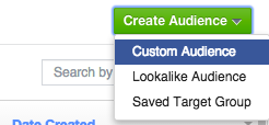 Create Custom Audience