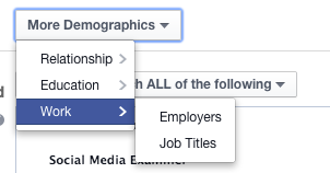 Facebook Ad Targeting More Demographics