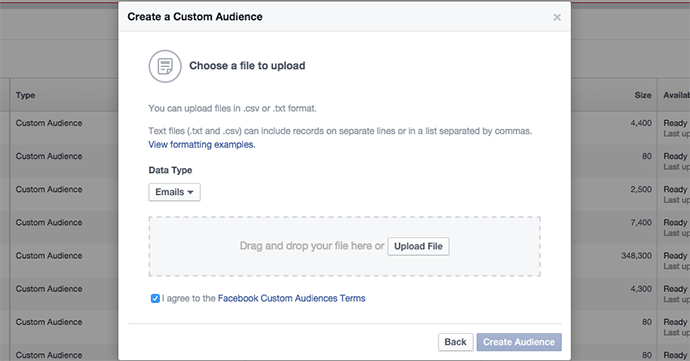 Facebook Email Custom Audience