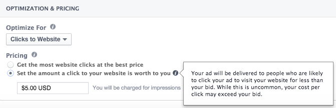 Facebook Clicks to Website Bidding Manual