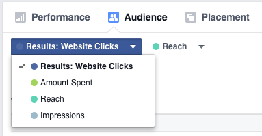New Facebook Ads Manager Audience Results