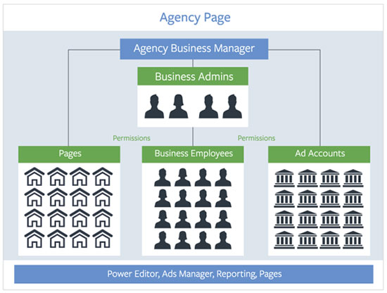 Business Manager Structure