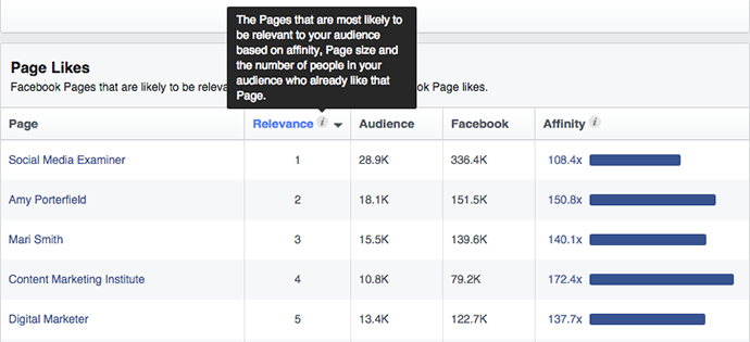 Facebook Audience Insights