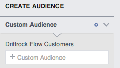 Facebook Audience Insights