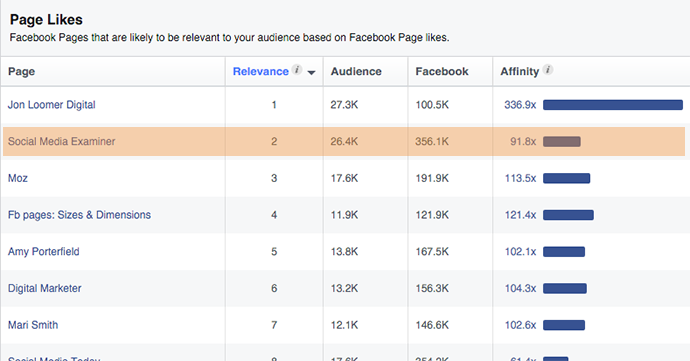 Facebook Audience Insights Likes