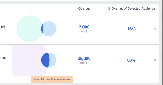 Facebook Audience Overlap