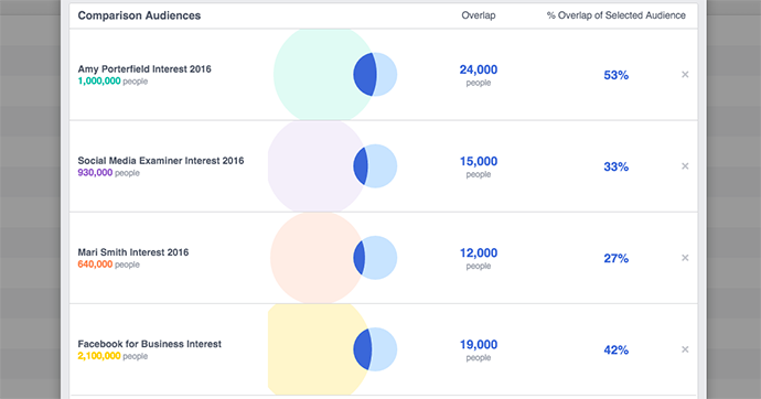 Facebook Audience Overlap