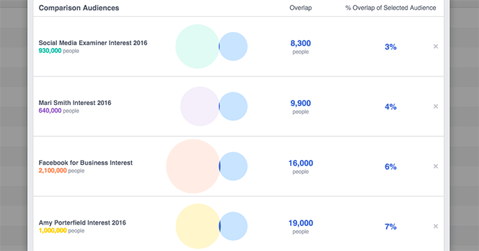 Facebook Audience Overlap