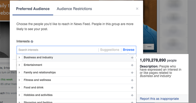 Facebook Preferred Audience