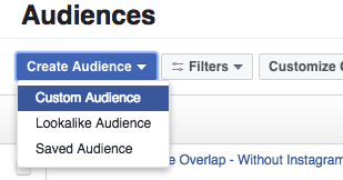 Facebook Canvas Custom Audiences