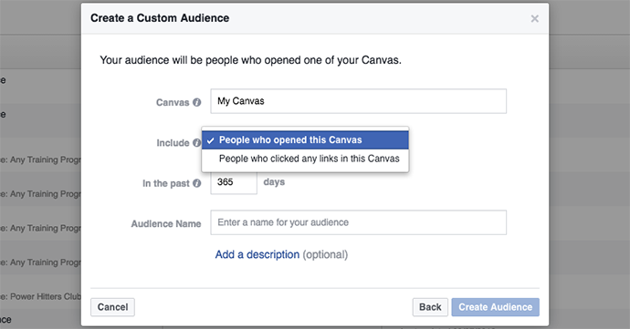 Facebook Canvas Custom Audiences