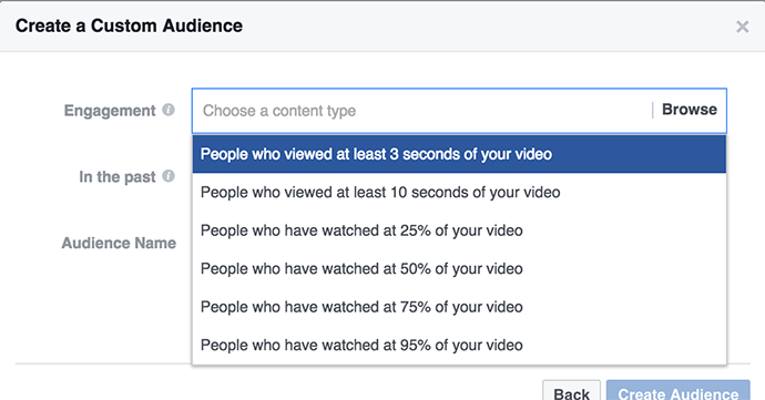 Video Views Custom Audience