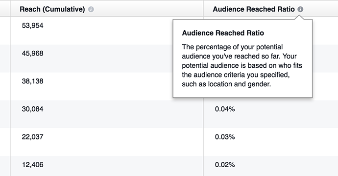 Facebook Delivery Insights