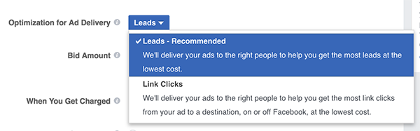 Facebook Lead Ads Optimization