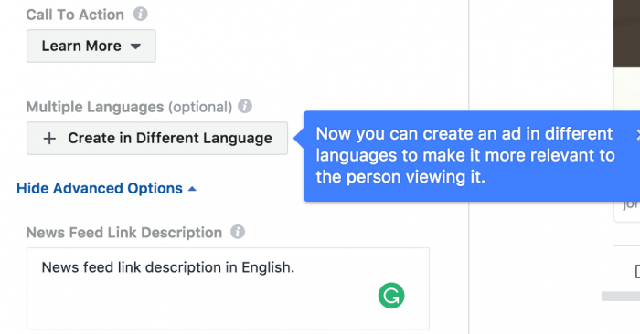 Facebook Ads Dynamic Language Optimization