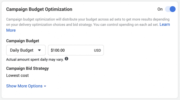 Facebook Campaign Budget Optimization