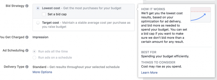 Facebook Ads Lowest Cost Bid Strategy