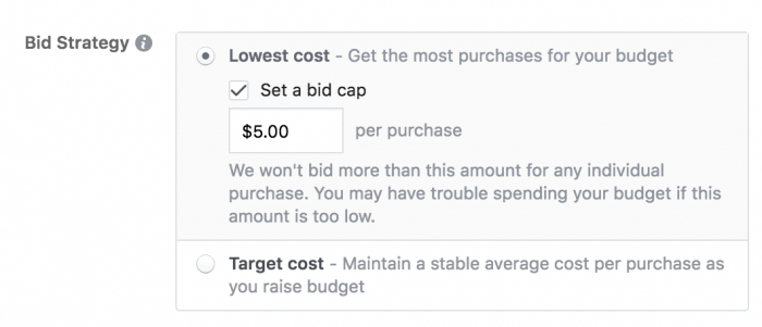 Facebook Ads Lowest Cost Bid Strategy Bid Cap