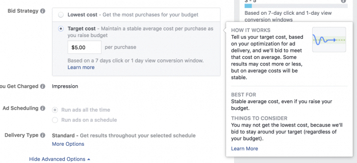 Facebook Ads Target Cost Bid Strategy