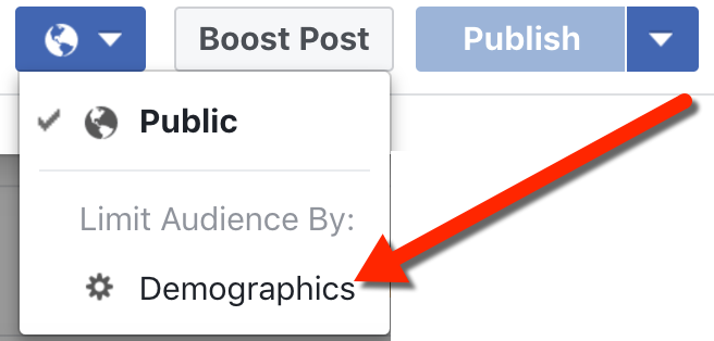 Facebook Publishing Tools Audience Demographics
