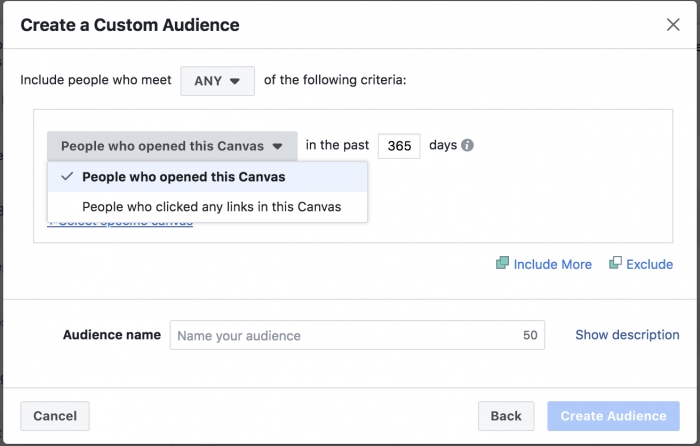 Facebook Canvas Custom Audience