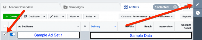 Facebook Ads Manager - Select Ad Set and Edit