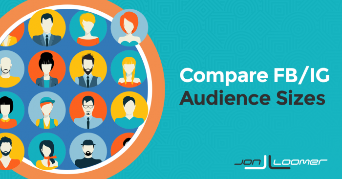 Compare Facebook Instagram Audience Sizes