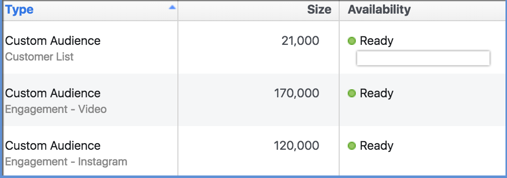 Facebook Custom Audience Size Example - Engagement Custom Audience