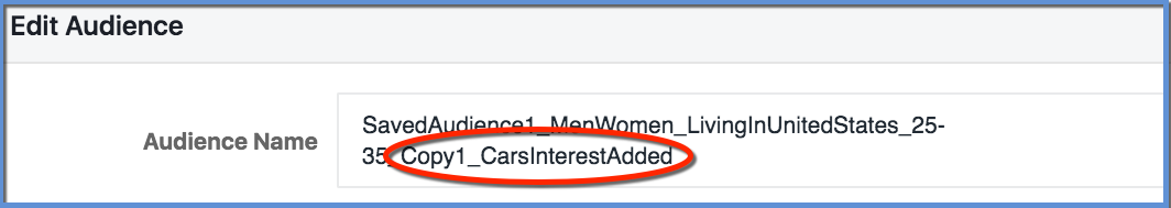 Saved Audience Name Edit