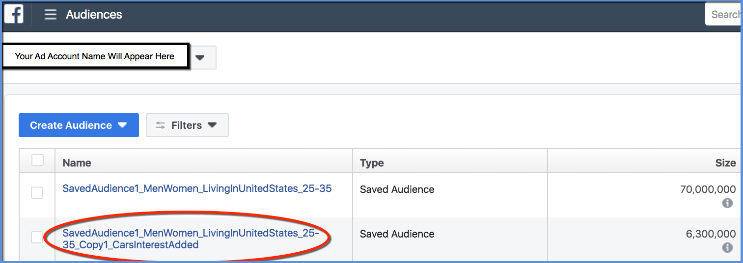 Saved Audience Name Appears