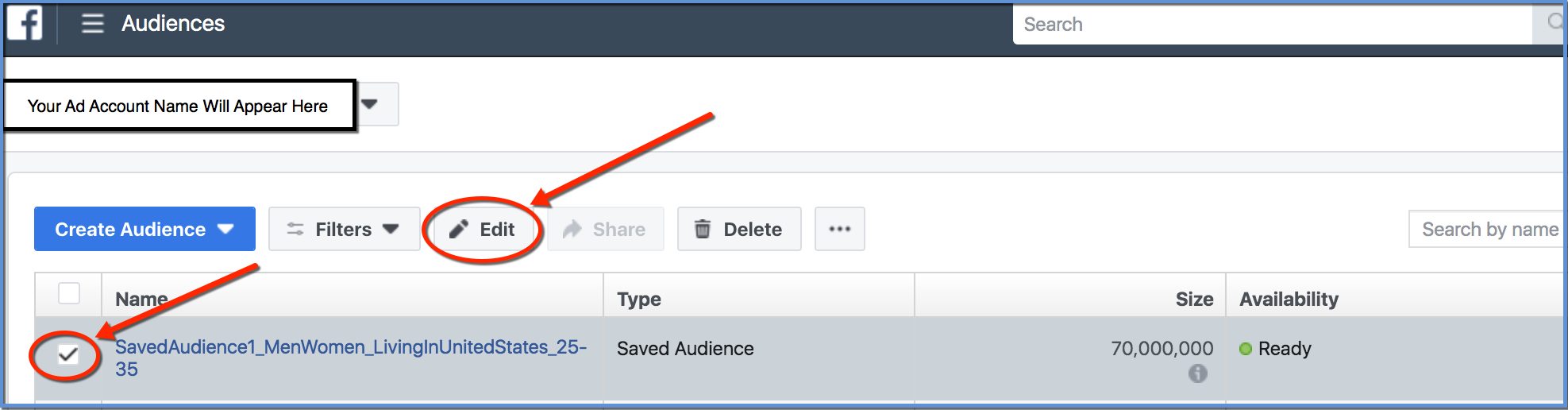 Ads Manager - Select and Edit Audience