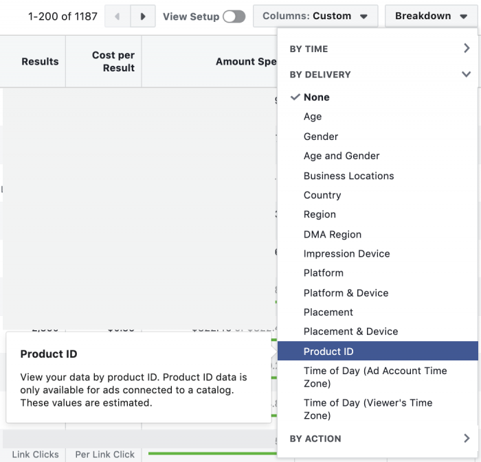 Facebook Ads Reports Product ID