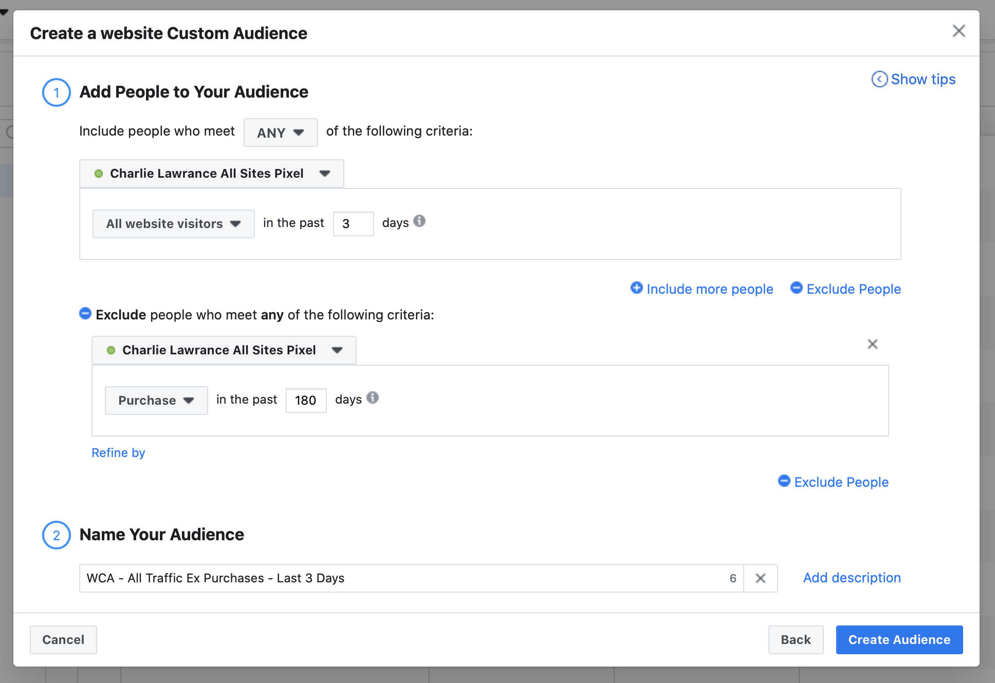 3 day website custom audience