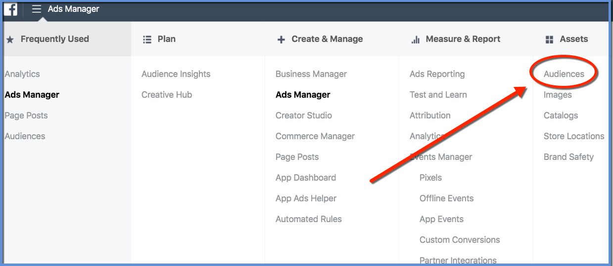 Audience Tool Selection - Ads Manager Facebook Interface
