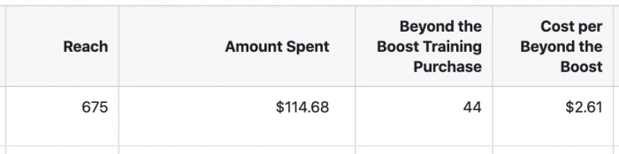 Facebook Ads Reach Campaign Results