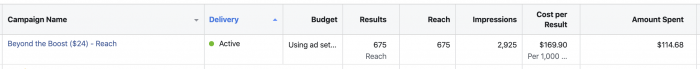 Facebook Ads Reach Campaign Results