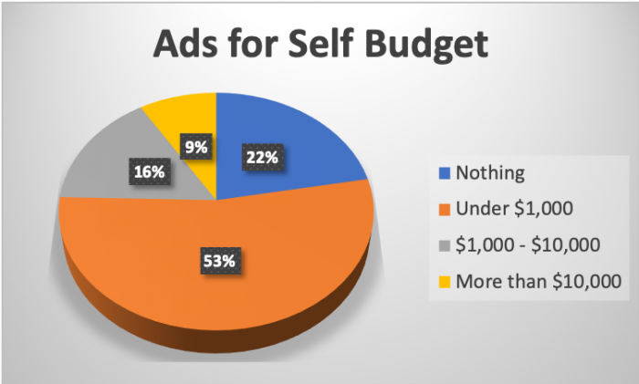 Ads for Self Budget