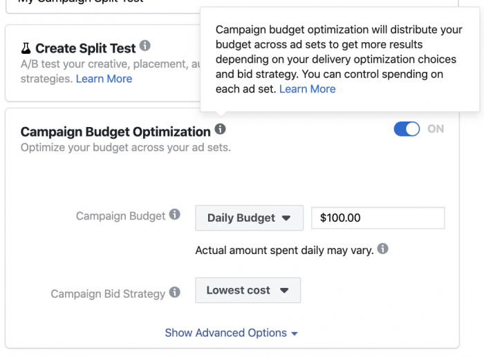 Facebook Campaign Budget Optimization