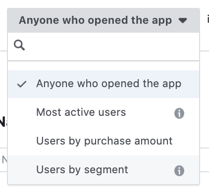 Facebook App Activity Custom Audience