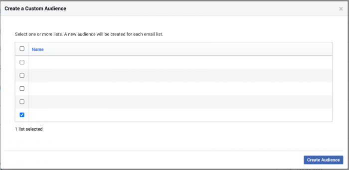 Facebook Custom Audience Data Email